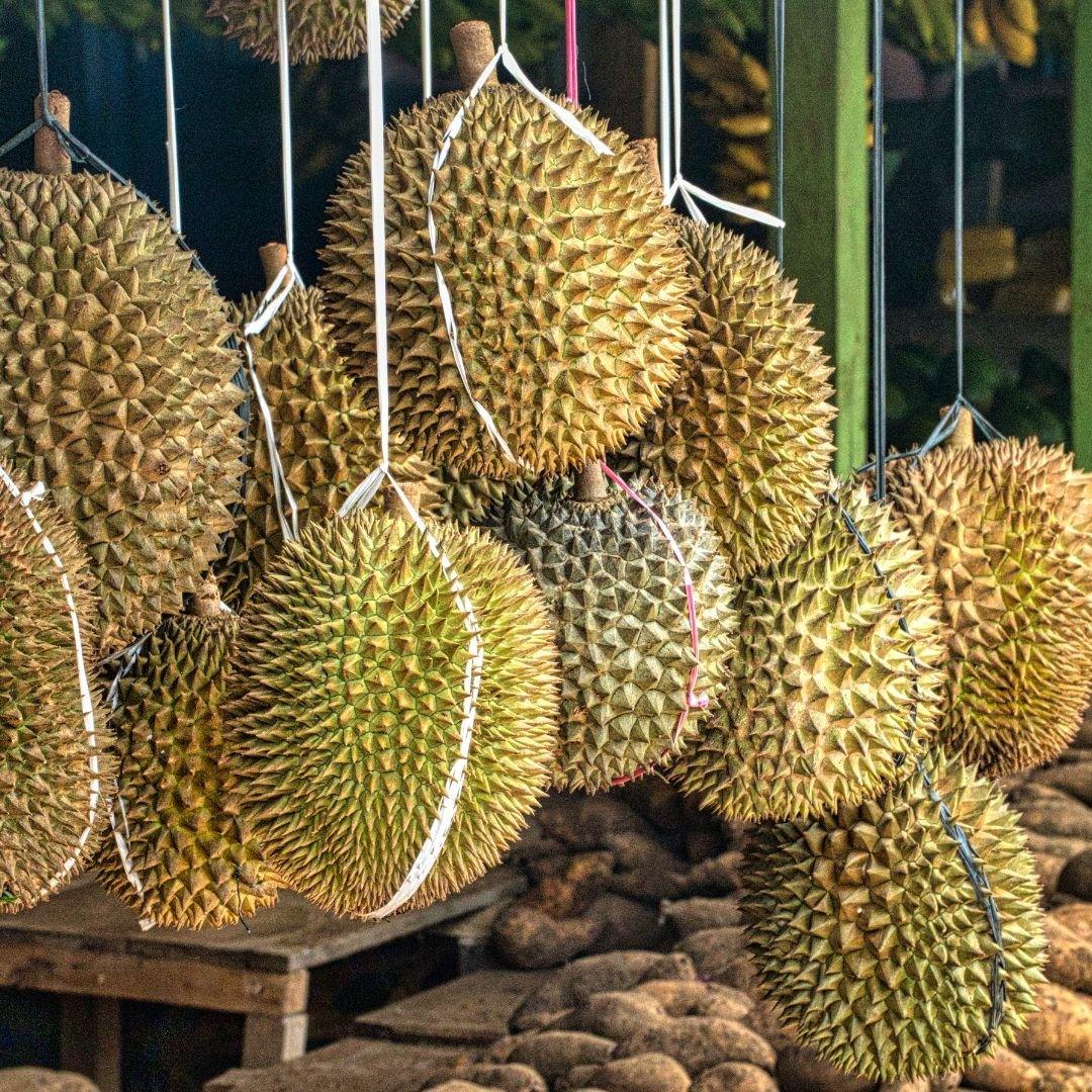 Durian: The Controversial King of Fruits - The Epicerie