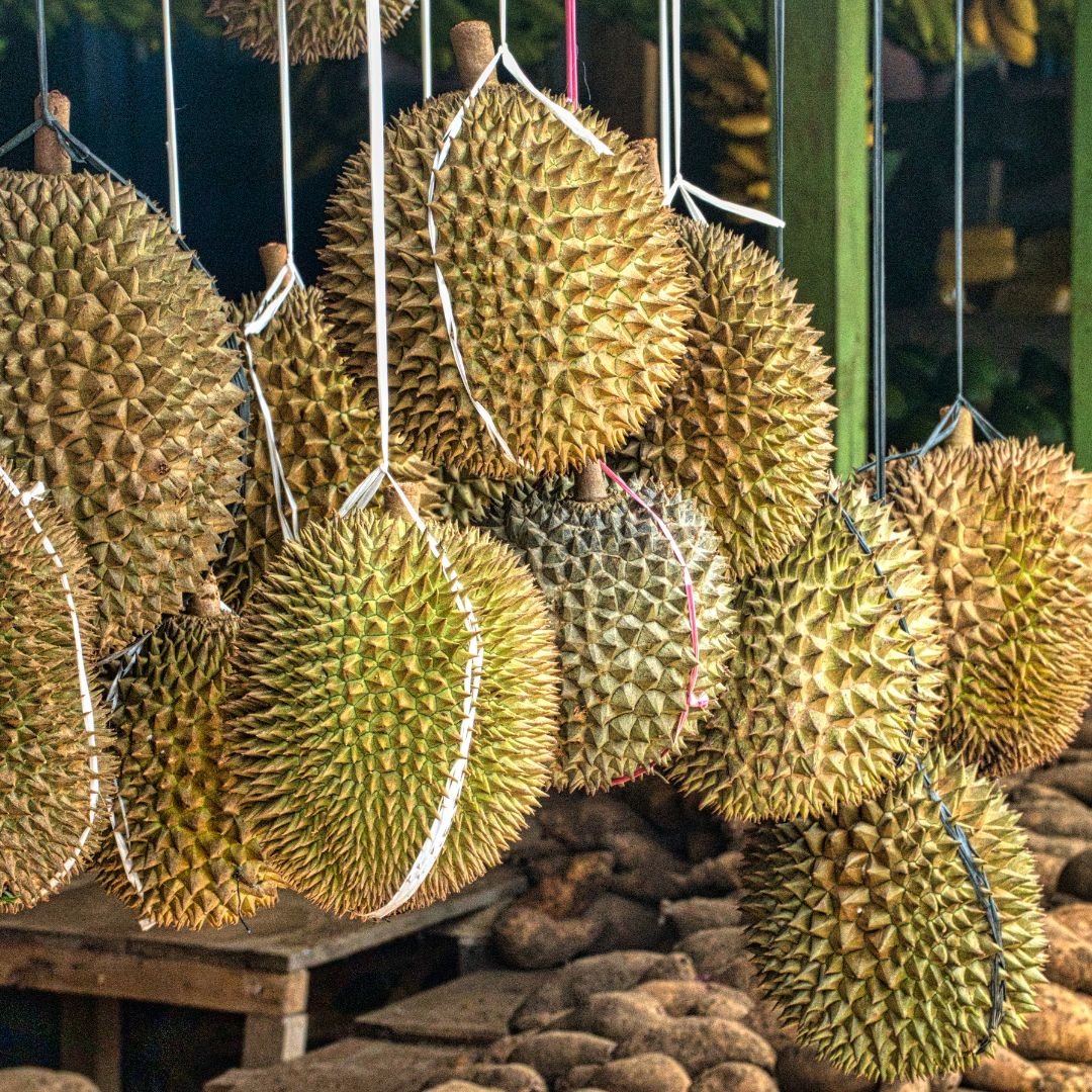 Durian: The Controversial King of Fruits